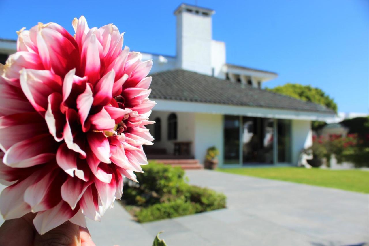 Santo Refugio Heritage Hotel San Pedro Cholula Dış mekan fotoğraf
